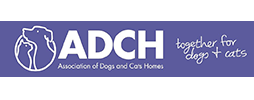 Association of Dogs & Cats Homes